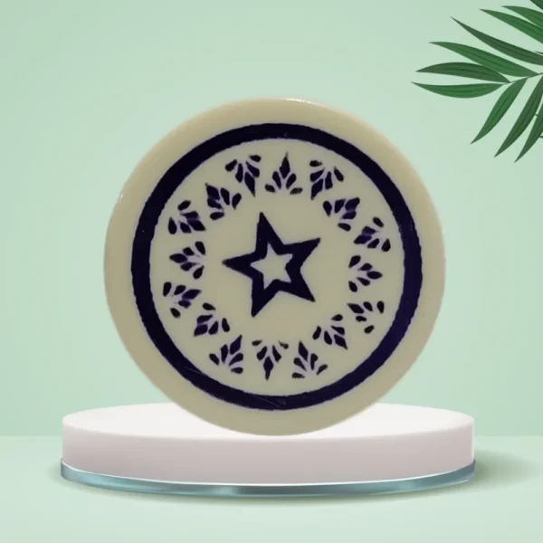 NHD Professional Carrom Striker - 910