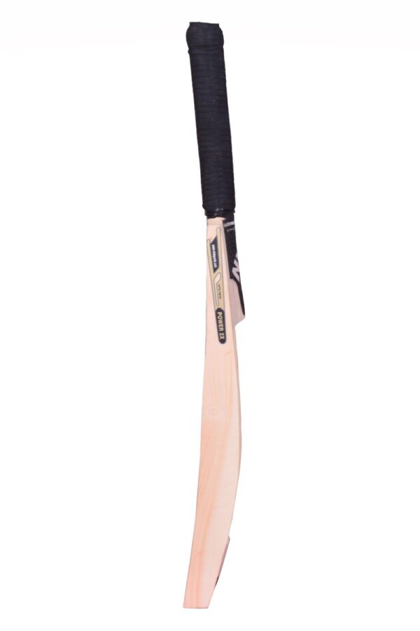 Power 2X Double Blade Kashmir Willow Cricket Bat - Image 4
