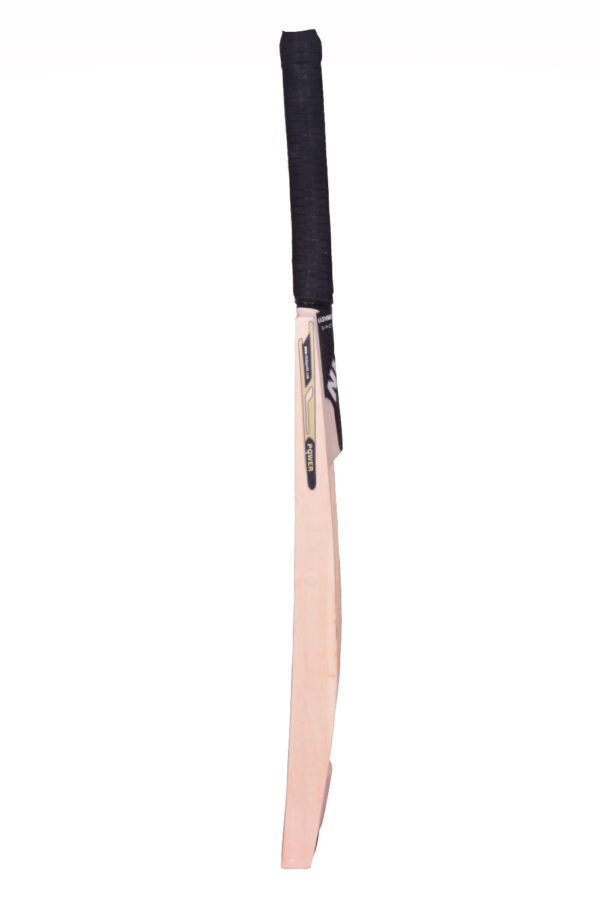 Power Kashmir Willow Cricket Bat - Image 4
